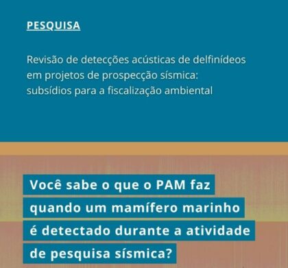 Projeto de revisão das varreduras do monitoramento acústico nas embarcações de pesquisa sísmica